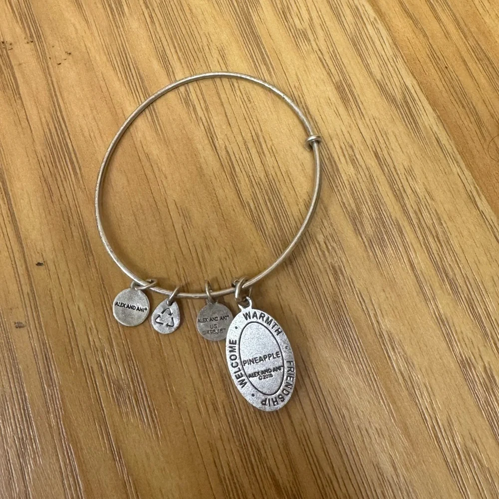 Alex and Ani elegant silver